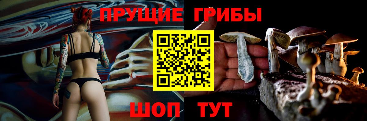 Красноармейск  Галлюциногенные грибы Psilocybe  Вход с VPN 